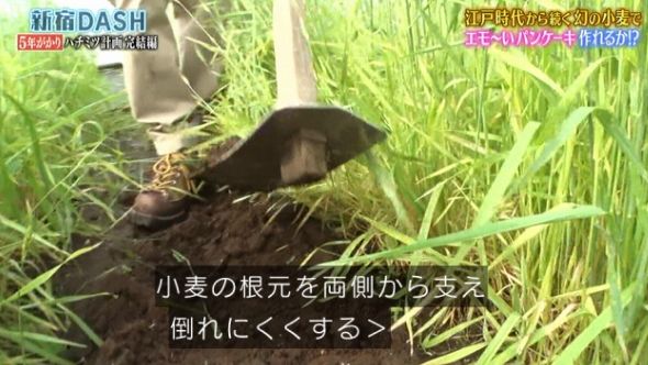鉄腕DASH 49