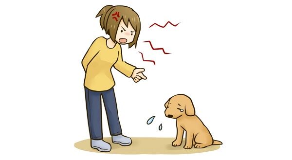 犬が暴れて吠えると ワンではない と叱る妻 くまニュース