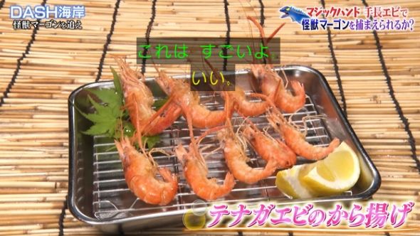 鉄腕DASH 50