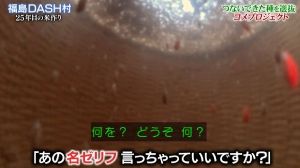 鉄腕DASH 59