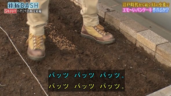 鉄腕DASH 32