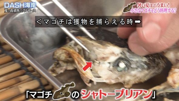 鉄腕DASH 109