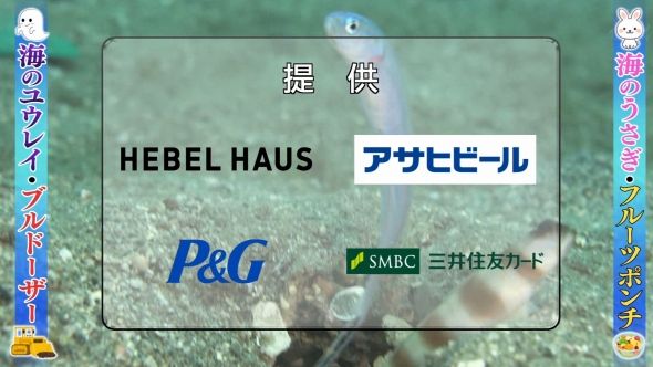 鉄腕DASH 131