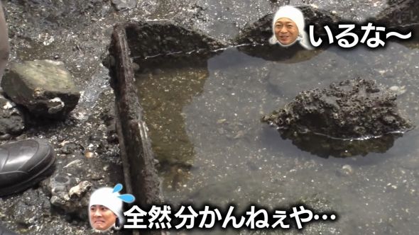 鉄腕DASH 8