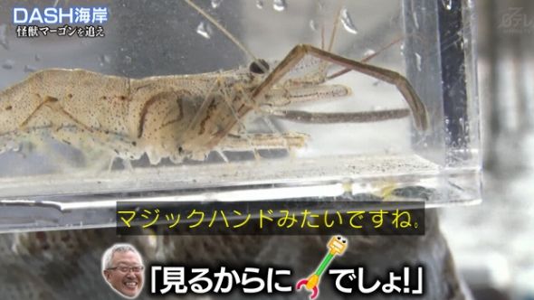 鉄腕DASH 48