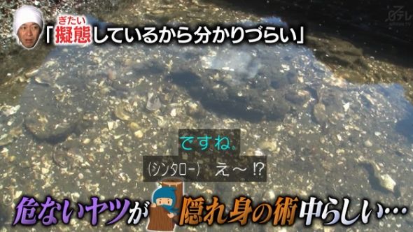 鉄腕DASH 9