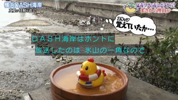 鉄腕DASH 21