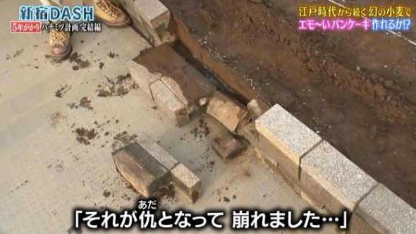 鉄腕DASH 39