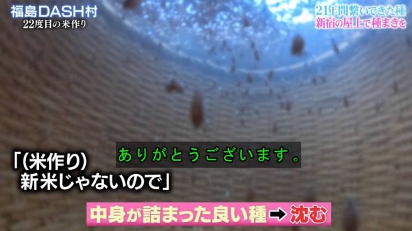 鉄腕DASH 16