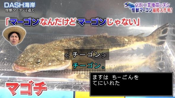鉄腕DASH 82