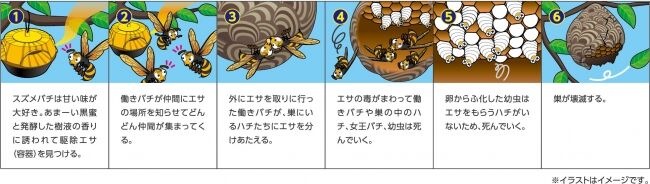 ベストかっこいい スズメバチ 蜂 イラスト アニメ画像 ベストかっこいい スズメバチ 蜂 イラスト アニメ画像