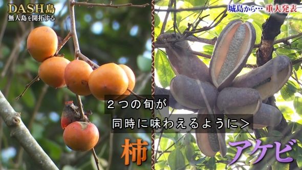 鉄腕DASH 144