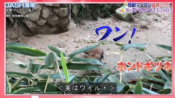 鉄腕DASH 45