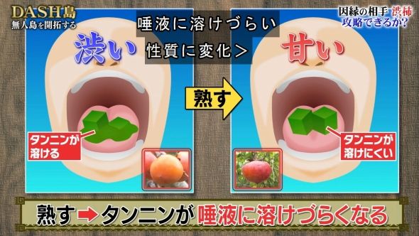 鉄腕DASH 143