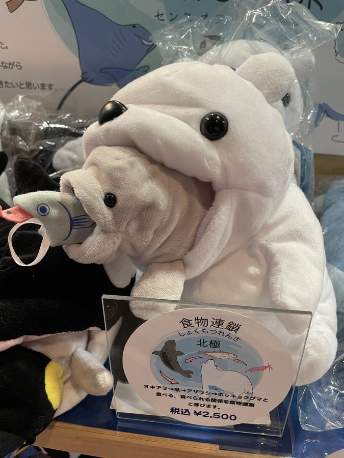 八景島シーパラダイスの「食物連鎖ぬいぐるみ」のインパクトが凄い くまニュース 八景島シーパラダイスの「食物連鎖ぬいぐるみ」のインパクトが凄い くまニュース