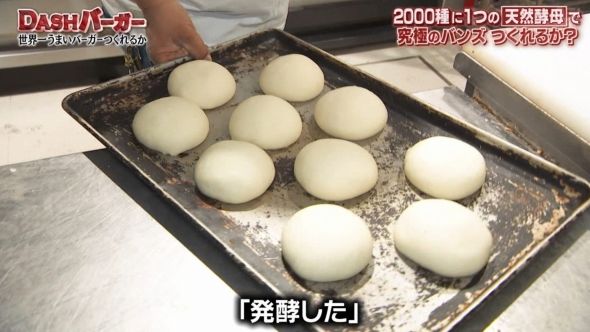鉄腕DASH 101