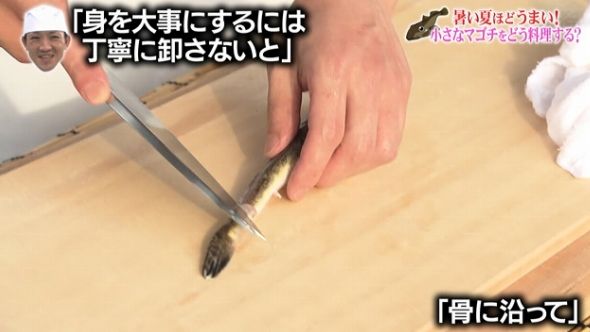 鉄腕DASH 87