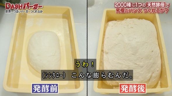 鉄腕DASH 99