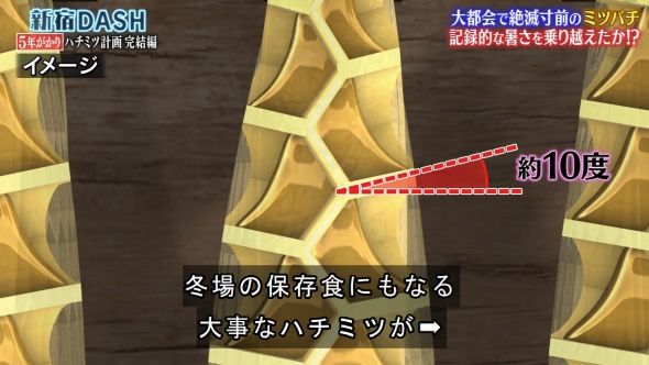 鉄腕DASH 13