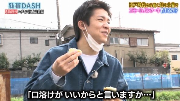 鉄腕DASH 31