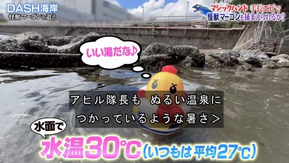 鉄腕DASH 55