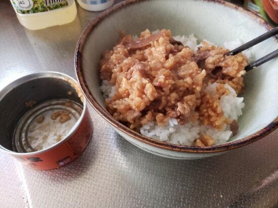 牛丼 2