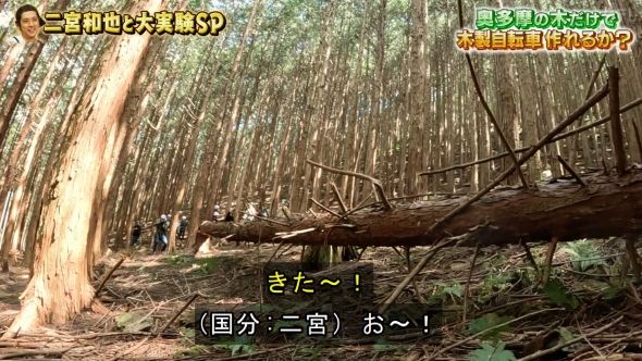 鉄腕DASH 30