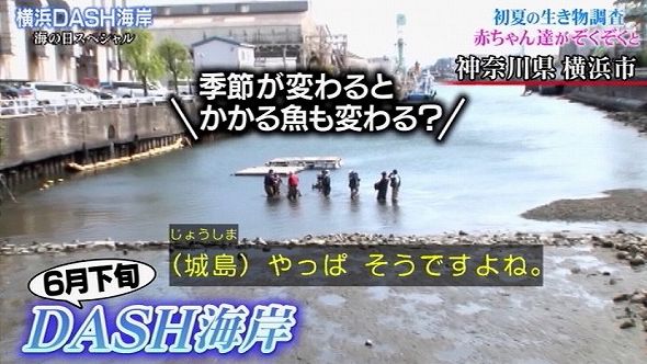 ザ 鉄腕 Dash Tokioが青森駅前干潟を改良してカレイを呼び込む くまニュース