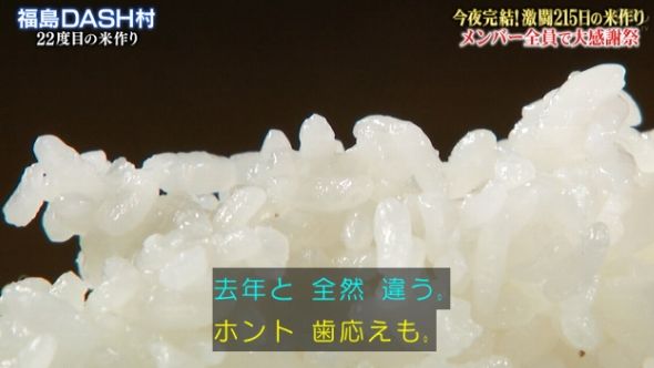鉄腕DASH 135