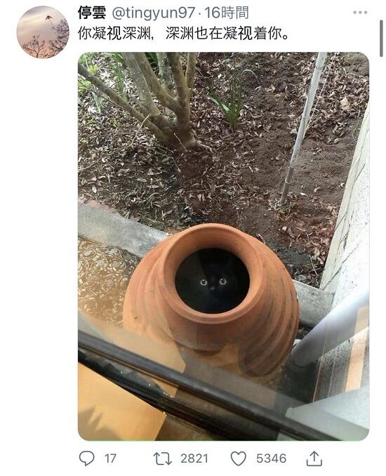 中国語はわからなくても何を言ってるかはわかる画像 くまニュース