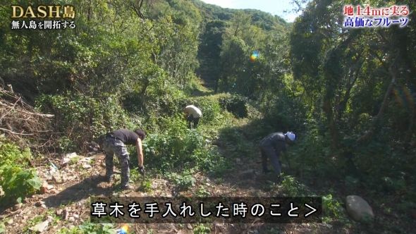 鉄腕DASH 104