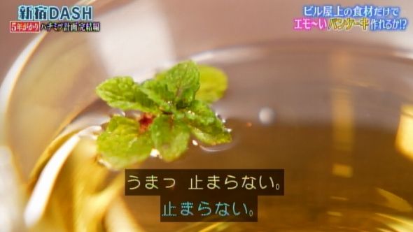 鉄腕DASH 126