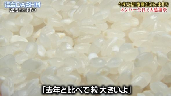 鉄腕DASH 55
