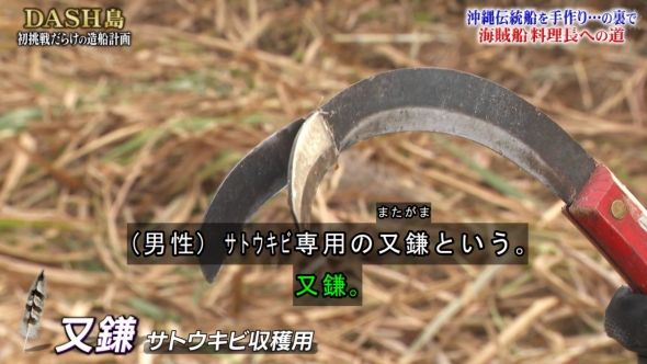 鉄腕DASH 41