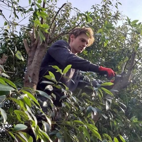 日本に帰化したスウェーデン人の庭師がイケメンすぎると話題に くまニュース 日本に帰化したスウェーデン人の庭師がイケメンすぎると話題に くまニュース