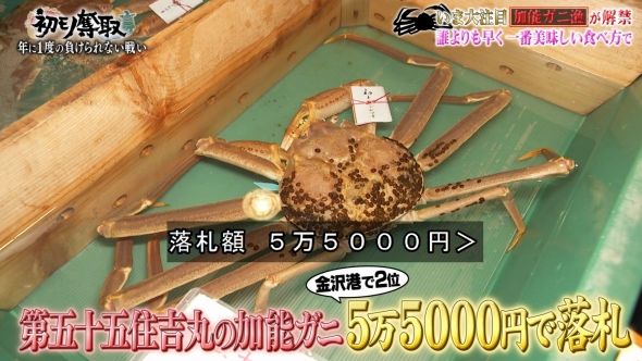 鉄腕DASH 81