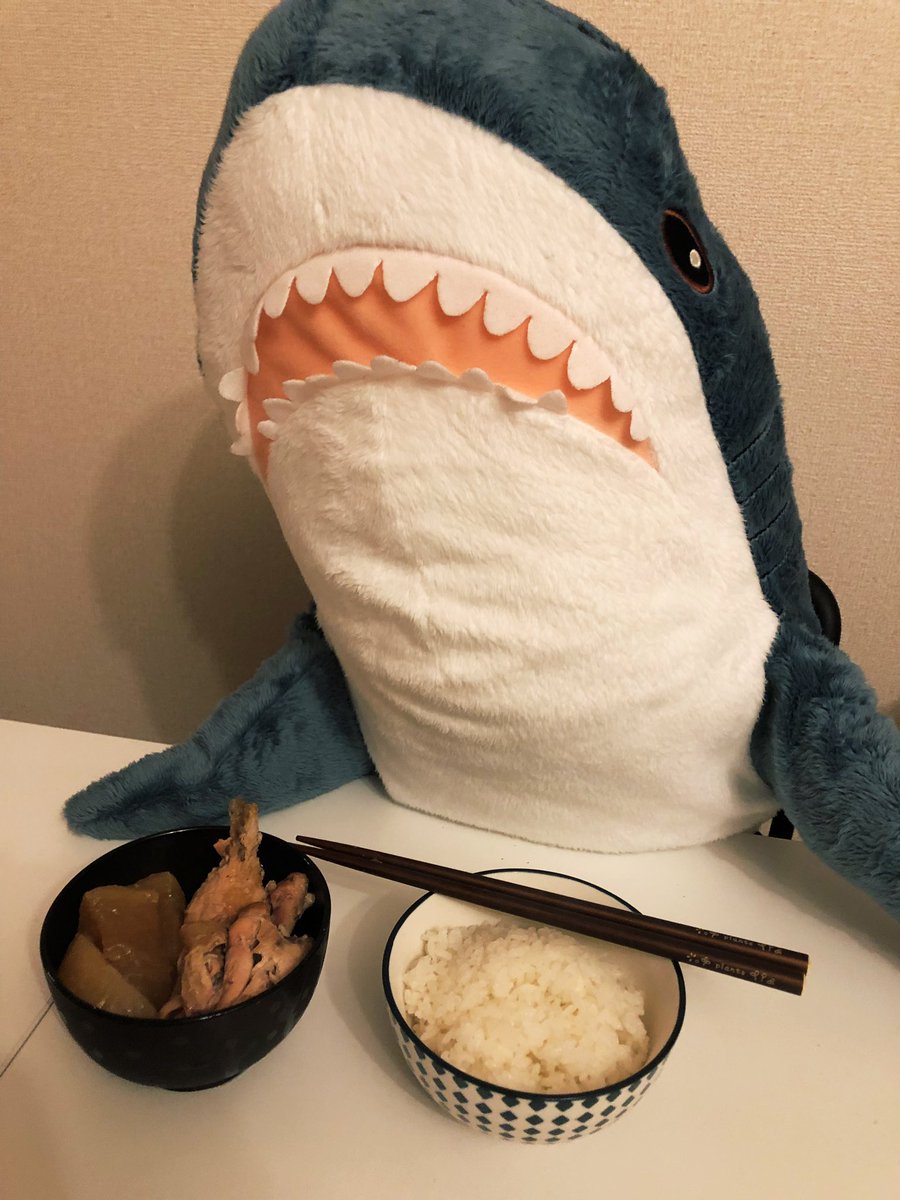 Ikeaに大量のサメが水揚げされる くまニュース Ikeaに大量のサメが水揚げされる くまニュース