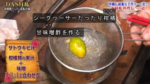 鉄腕DASH 46