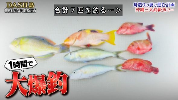 鉄腕DASH 28