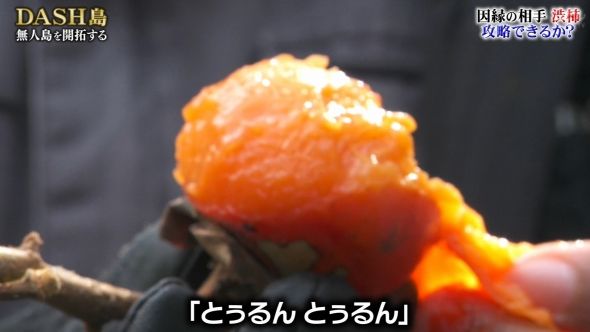 鉄腕DASH 140