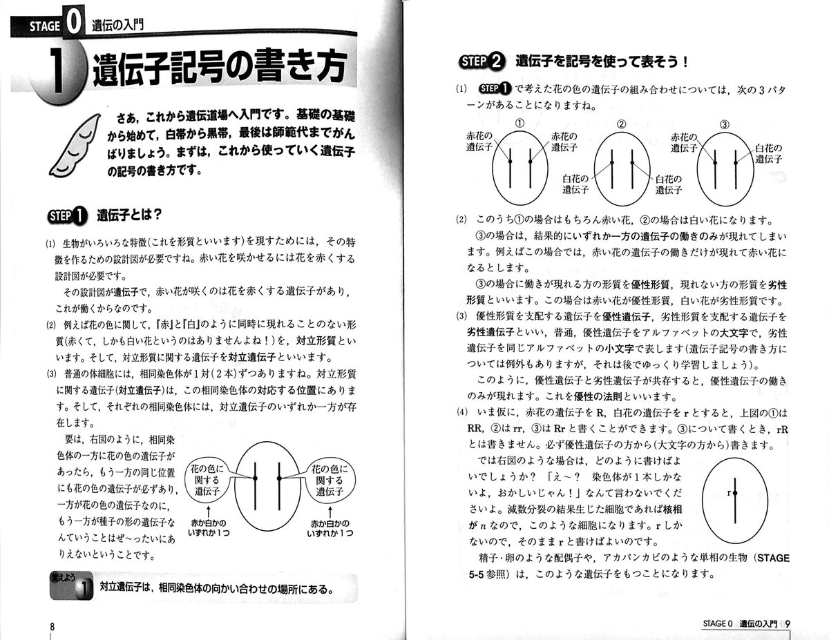 一重は劣性遺伝だったらしい くまニュース 一重は劣性遺伝だったらしい くまニュース
