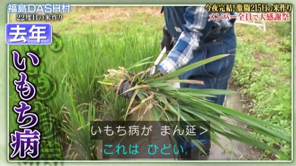 鉄腕DASH 61