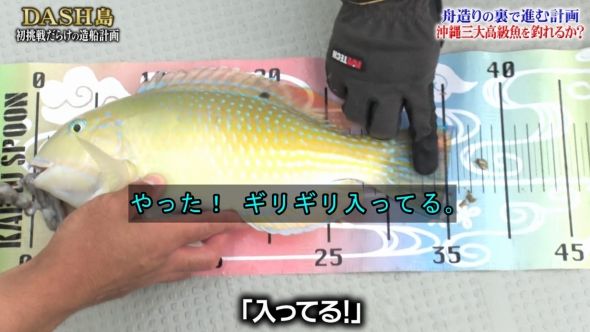 鉄腕DASH 26