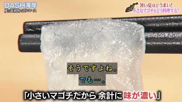 鉄腕DASH 97