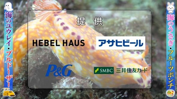 鉄腕DASH 132