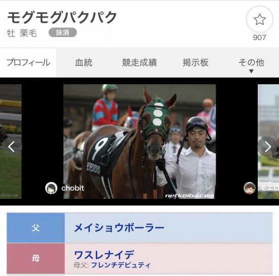 過去一番かわいい競走馬の名前が決定する くまニュース