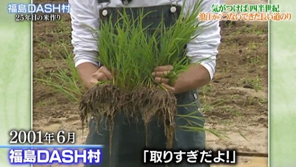 鉄腕DASH 15