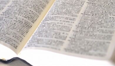 類語辞書を見るだけで興奮できるようになる方法 くまニュース 類語辞書を見るだけで興奮できるようになる方法 くまニュース