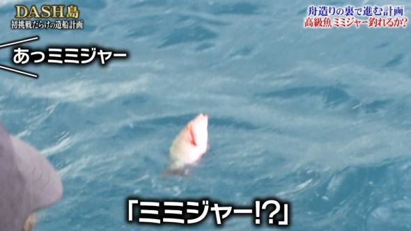 鉄腕DASH 21