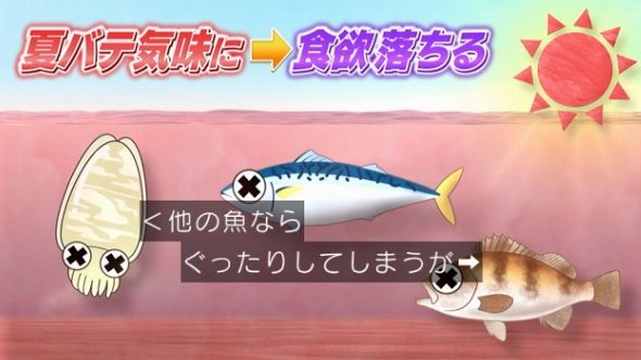 鉄腕DASH 56